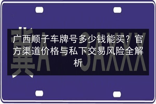 广西顺子车牌号多少钱能买?官方渠道价格与私下交易风险全解析 第2张 广西顺子车牌号多少钱能买?官方渠道价格与私下交易风险全解析 第2张