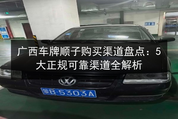 广西车牌顺子购买渠道盘点:5大正规可靠渠道全解析 第3张 广西车牌顺子购买渠道盘点:5大正规可靠渠道全解析 第3张