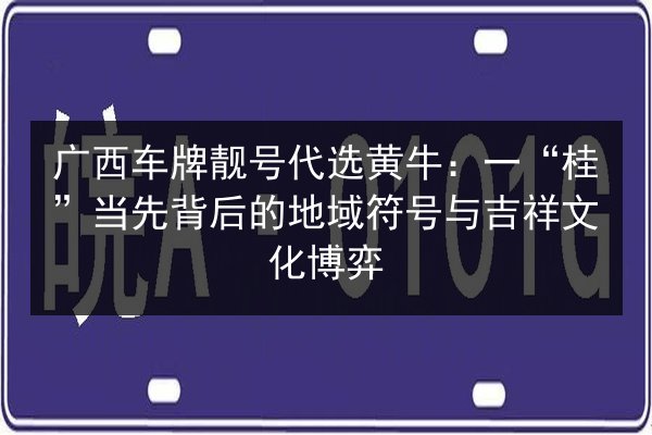 广西车牌靓号代选黄牛：一“桂”当先背后的地域符号与吉祥文化博弈 第2张