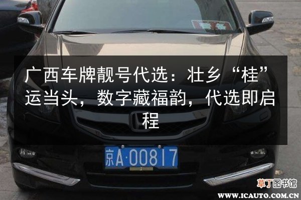 广西车牌靓号代选:壮乡“桂”运当头,数字藏福韵,代选即启程 第2张 广西车牌靓号代选:壮乡“桂”运当头,数字藏福韵,代选即启程 第2张