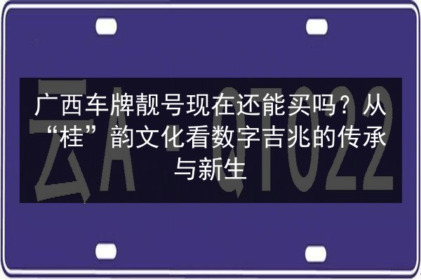 广西车牌靓号现在还能买吗?从“桂”韵文化看数字吉兆的传承与新生 第2张 广西车牌靓号现在还能买吗?从“桂”韵文化看数字吉兆的传承与新生 第2张