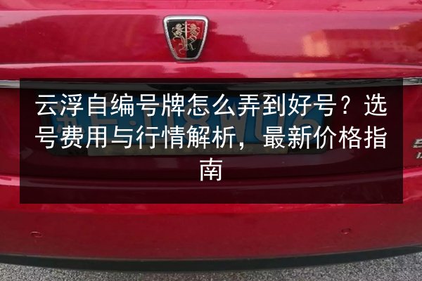 云浮自编号牌怎么弄到好号？选号费用与行情解析，最新价格指南 第2张