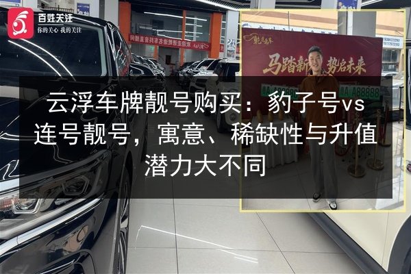 云浮车牌靓号购买：豹子号vs连号靓号，寓意、稀缺性与升值潜力大不同 第2张