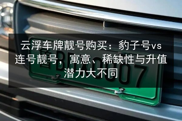 云浮车牌靓号购买：豹子号vs连号靓号，寓意、稀缺性与升值潜力大不同 第3张
