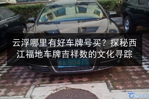 云浮哪里有好车牌号买？探秘西江福地车牌吉祥数的文化寻踪 第3张
