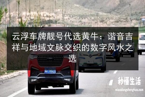 云浮车牌靓号代选黄牛：谐音吉祥与地域文脉交织的数字风水之选 第3张