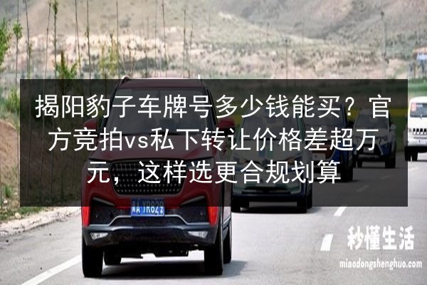 揭阳豹子车牌号多少钱能买？官方竞拍vs私下转让价格差超万元，这样选更合规划算 第2张