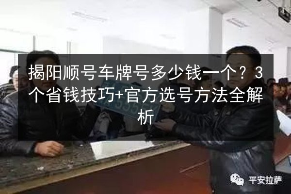 揭阳顺号车牌号多少钱一个？3个省钱技巧+官方选号方法全解析 第2张
