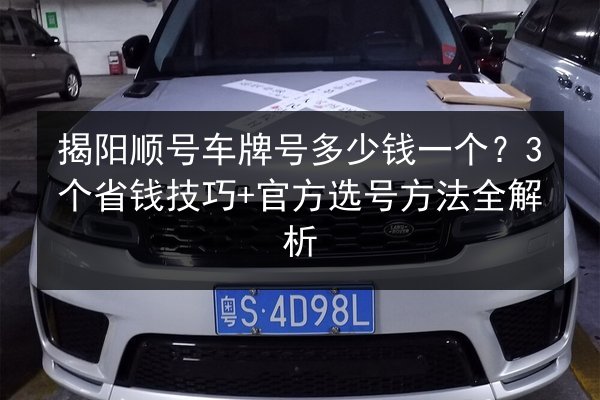 揭阳顺号车牌号多少钱一个？3个省钱技巧+官方选号方法全解析 第3张