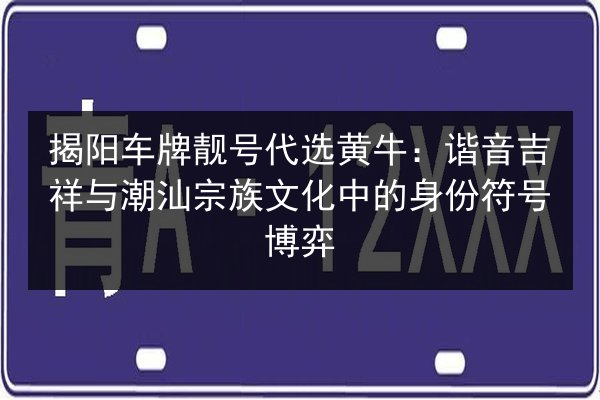 揭阳车牌靓号代选黄牛:谐音吉祥与潮汕宗族文化中的身份符号博弈 第2张 揭阳车牌靓号代选黄牛:谐音吉祥与潮汕宗族文化中的身份符号博弈 第2张