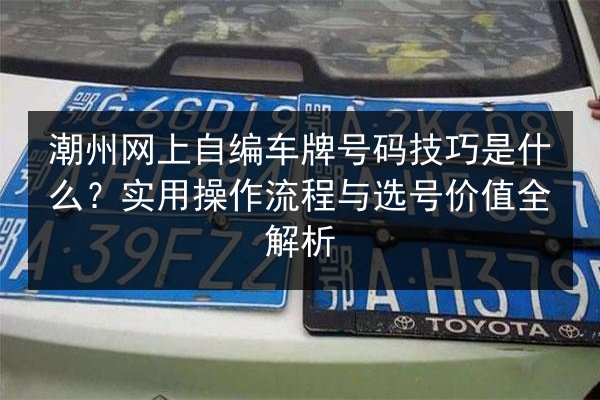 潮州网上自编车牌号码技巧是什么？实用操作流程与选号价值全解析