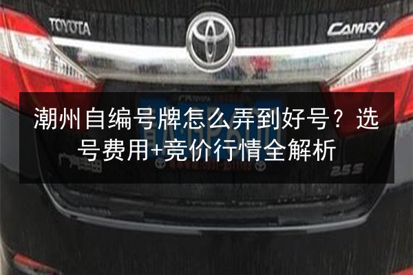 潮州自编号牌怎么弄到好号？选号费用+竞价行情全解析 第2张