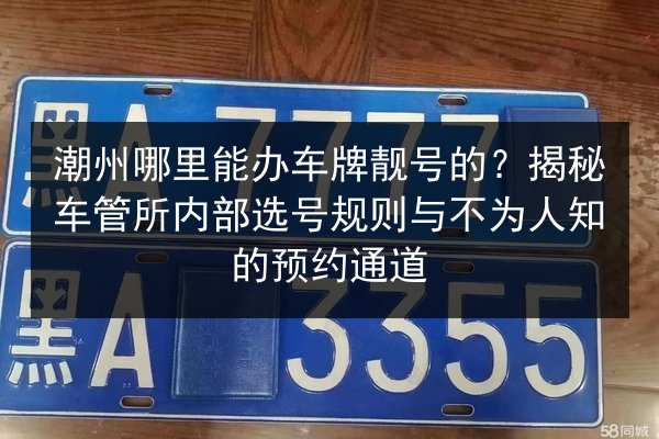 潮州哪里能办车牌靓号的?揭秘车管所内部选号规则与不为人知的预约通道 第3张 潮州哪里能办车牌靓号的?揭秘车管所内部选号规则与不为人知的预约通道 第3张