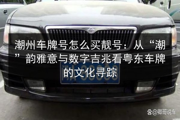 潮州车牌号怎么买靓号：从“潮”韵雅意与数字吉兆看粤东车牌的文化寻踪 第2张