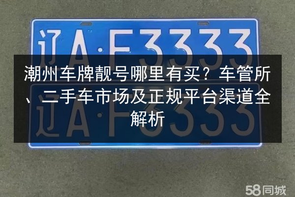 潮州车牌靓号哪里有买？车管所、二手车市场及正规平台渠道全解析 第3张