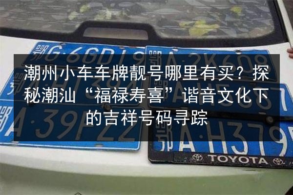潮州小车车牌靓号哪里有买?探秘潮汕“福禄寿喜”谐音文化下的吉祥号码寻踪 第2张 潮州小车车牌靓号哪里有买?探秘潮汕“福禄寿喜”谐音文化下的吉祥号码寻踪 第2张