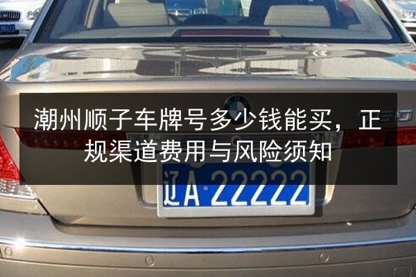 潮州顺子车牌号多少钱能买，正规渠道费用与风险须知 第2张