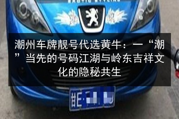 潮州车牌靓号代选黄牛:一“潮”当先的号码江湖与岭东吉祥文化的隐秘共生 第2张 潮州车牌靓号代选黄牛:一“潮”当先的号码江湖与岭东吉祥文化的隐秘共生 第2张