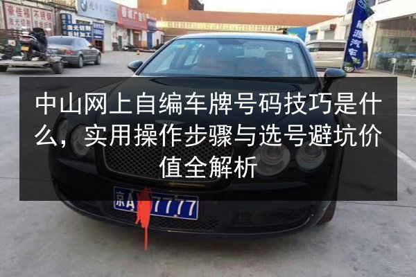 中山网上自编车牌号码技巧是什么，实用操作步骤与选号避坑价值全解析 第2张