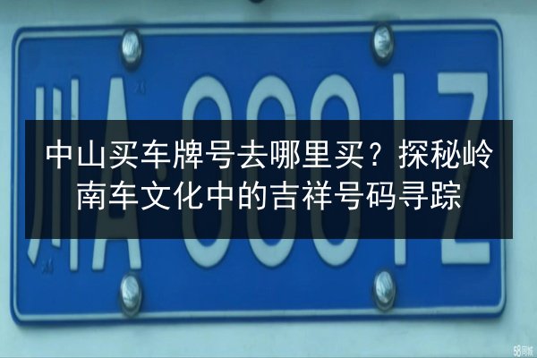 中山买车牌号去哪里买?探秘岭南车文化中的吉祥号码寻踪 第2张 中山买车牌号去哪里买?探秘岭南车文化中的吉祥号码寻踪 第2张