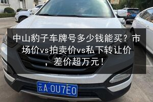 中山豹子车牌号多少钱能买?市场价vs拍卖价vs私下转让价,差价超万元! 第3张 中山豹子车牌号多少钱能买?市场价vs拍卖价vs私下转让价,差价超万元! 第3张