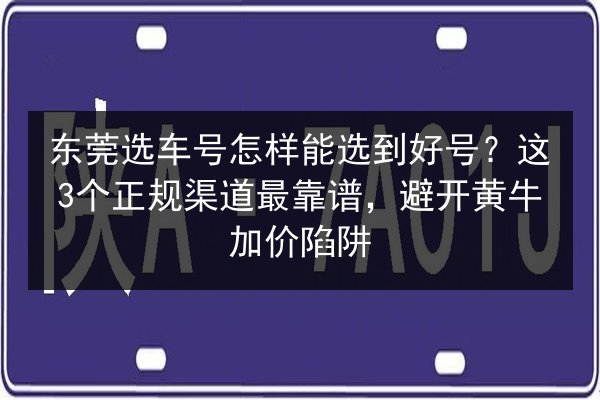 东莞选车号怎样能选到好号?这3个正规渠道最靠谱,避开黄牛加价陷阱 第1张 东莞选车号怎样能选到好号?这3个正规渠道最靠谱,避开黄牛加价陷阱 第1张