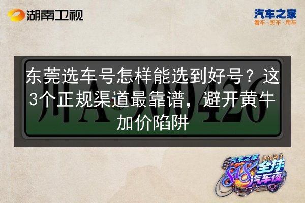 东莞选车号怎样能选到好号?这3个正规渠道最靠谱,避开黄牛加价陷阱 第2张 东莞选车号怎样能选到好号?这3个正规渠道最靠谱,避开黄牛加价陷阱 第2张