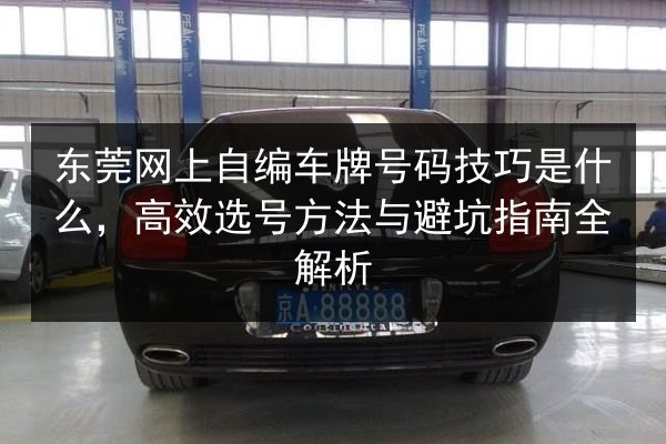 东莞网上自编车牌号码技巧是什么，高效选号方法与避坑指南全解析 第2张