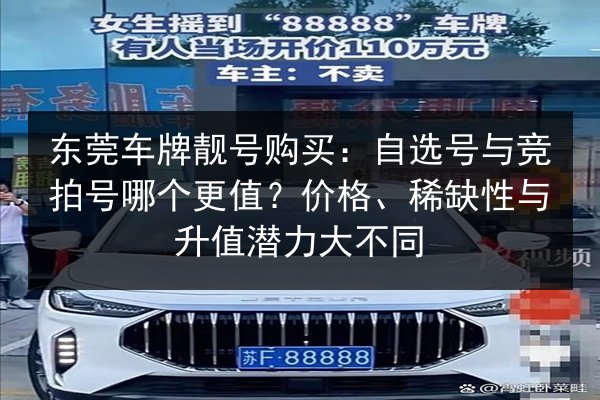 东莞车牌靓号购买：自选号与竞拍号哪个更值？价格、稀缺性与升值潜力大不同