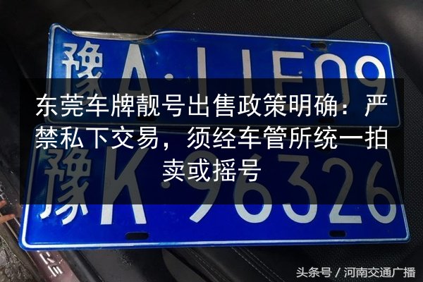 东莞车牌靓号出售政策明确：严禁私下交易，须经车管所统一拍卖或摇号 第2张
