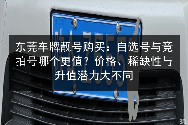 东莞车牌靓号购买：自选号与竞拍号哪个更值？价格、稀缺性与升值潜力大不同 第2张
