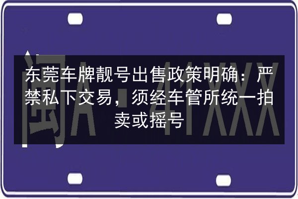 东莞车牌靓号出售政策明确：严禁私下交易，须经车管所统一拍卖或摇号 第3张