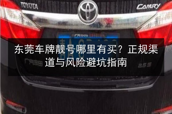 东莞车牌靓号哪里有买?正规渠道与风险避坑指南 第2张 东莞车牌靓号哪里有买?正规渠道与风险避坑指南 第2张