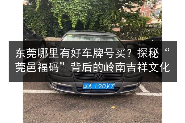东莞哪里有好车牌号买?探秘“莞邑福码”背后的岭南吉祥文化 第2张 东莞哪里有好车牌号买?探秘“莞邑福码”背后的岭南吉祥文化 第2张