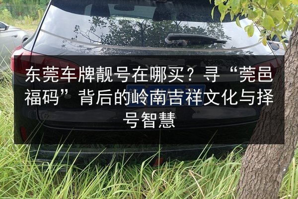东莞车牌靓号在哪买?寻“莞邑福码”背后的岭南吉祥文化与择号智慧 第2张 东莞车牌靓号在哪买?寻“莞邑福码”背后的岭南吉祥文化与择号智慧 第2张