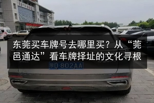东莞买车牌号去哪里买?从“莞邑通达”看车牌择址的文化寻根 第2张 东莞买车牌号去哪里买?从“莞邑通达”看车牌择址的文化寻根 第2张