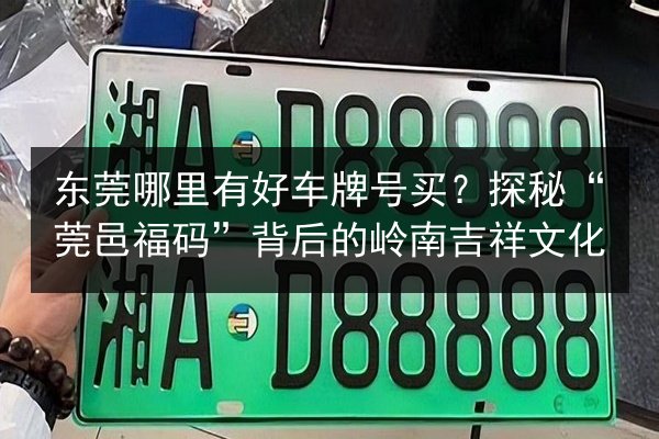 东莞哪里有好车牌号买?探秘“莞邑福码”背后的岭南吉祥文化 第3张 东莞哪里有好车牌号买?探秘“莞邑福码”背后的岭南吉祥文化 第3张