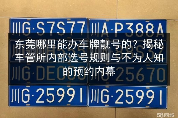东莞哪里能办车牌靓号的?揭秘车管所内部选号规则与不为人知的预约内幕 第3张 东莞哪里能办车牌靓号的?揭秘车管所内部选号规则与不为人知的预约内幕 第3张