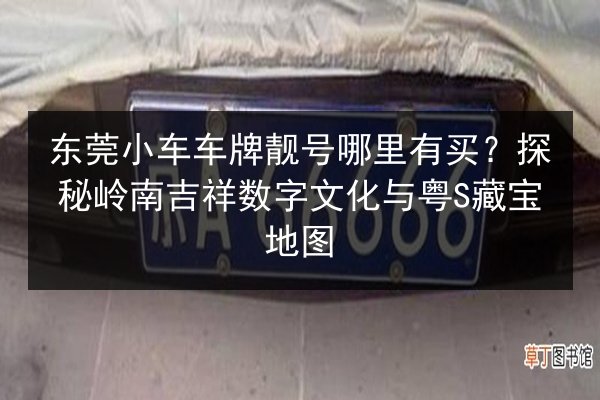 东莞小车车牌靓号哪里有买?探秘岭南吉祥数字文化与粤S藏宝地图 第2张 东莞小车车牌靓号哪里有买?探秘岭南吉祥数字文化与粤S藏宝地图 第2张