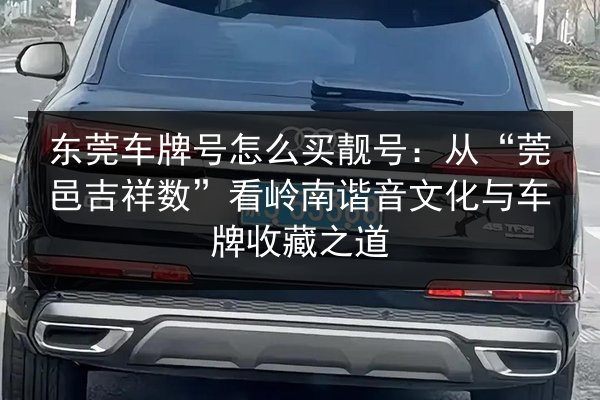 东莞车牌号怎么买靓号：从“莞邑吉祥数”看岭南谐音文化与车牌收藏之道 第2张