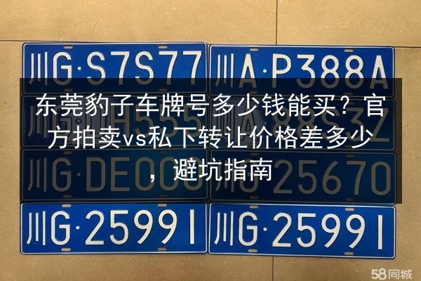 东莞豹子车牌号多少钱能买？官方拍卖vs私下转让价格差多少，避坑指南 第2张