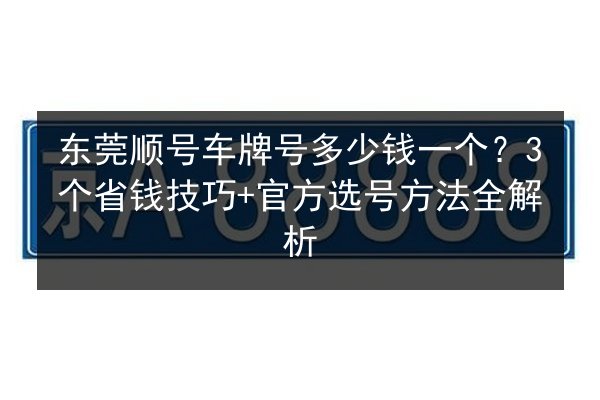 东莞顺号车牌号多少钱一个？3个省钱技巧+官方选号方法全解析 第3张