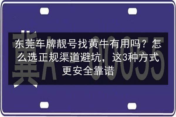 东莞车牌靓号找黄牛有用吗？怎么选正规渠道避坑，这3种方式更安全靠谱 第3张