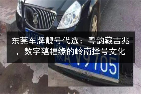 东莞车牌靓号代选:粤韵藏吉兆,数字蕴福缘的岭南择号文化 第2张 东莞车牌靓号代选:粤韵藏吉兆,数字蕴福缘的岭南择号文化 第2张