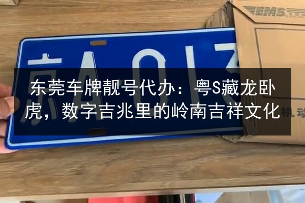 东莞车牌靓号代办:粤S藏龙卧虎,数字吉兆里的岭南吉祥文化 第3张 东莞车牌靓号代办:粤S藏龙卧虎,数字吉兆里的岭南吉祥文化 第3张