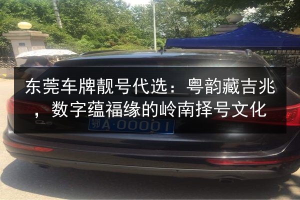 东莞车牌靓号代选:粤韵藏吉兆,数字蕴福缘的岭南择号文化 第3张 东莞车牌靓号代选:粤韵藏吉兆,数字蕴福缘的岭南择号文化 第3张