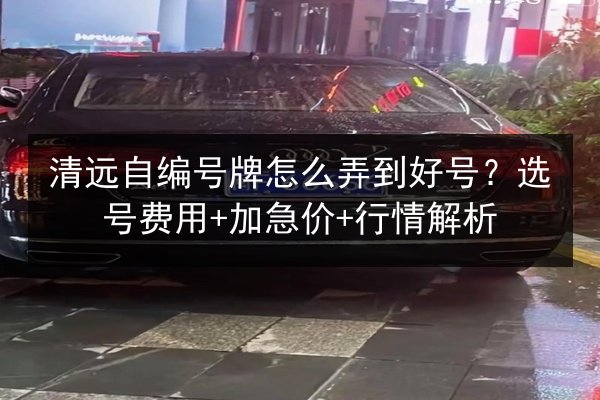清远自编号牌怎么弄到好号？选号费用+加急价+行情解析 第2张