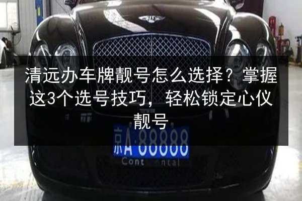 清远办车牌靓号怎么选择?掌握这3个选号技巧,轻松锁定心仪靓号 第2张 清远办车牌靓号怎么选择?掌握这3个选号技巧,轻松锁定心仪靓号 第2张