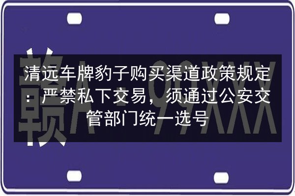 清远车牌豹子购买渠道政策规定：严禁私下交易，须通过公安交管部门统一选号 第2张