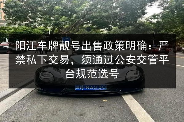 阳江车牌靓号出售政策明确：严禁私下交易，须通过公安交管平台规范选号 第3张
